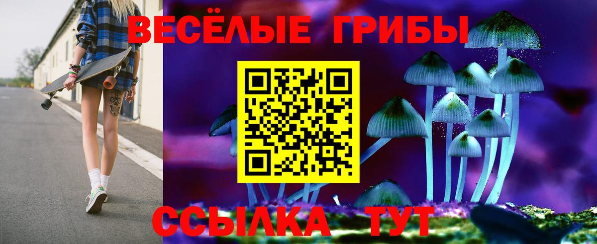 Псилоцибиновые грибы Psilocybine cubensis  Галлюциногенные грибы GOLDEN TEACHER  Вход с VPN  Котлас 